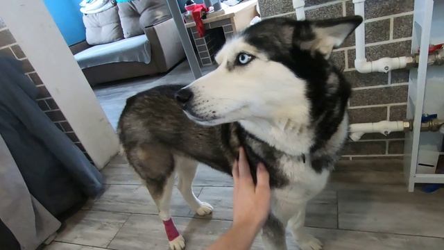 Как платить за электроэнергия на 30 процентов меньше в 2025 году! смотреть онлайн