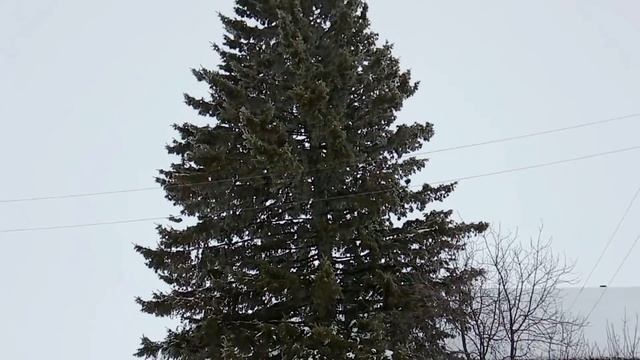 Переехать жить в село. Николаевка ждет своих переселенцев. №6 смотреть онлайн