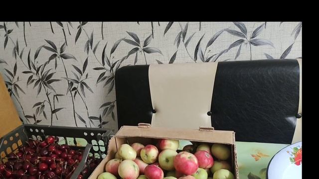 Шие мен алма араласқан компот дайындау. смотреть онлайн