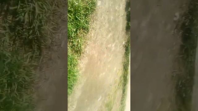 Ходим по трубам 1 часть смотреть онлайн