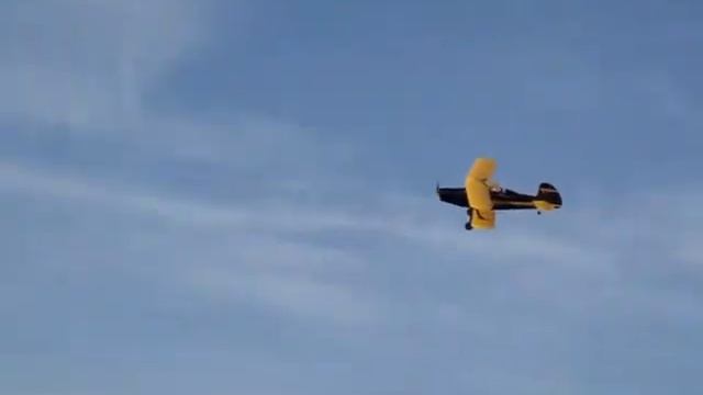 Шершень с Вальтером (2). смотреть онлайн