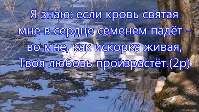 Позволь мне головой склонённой смотреть онлайн