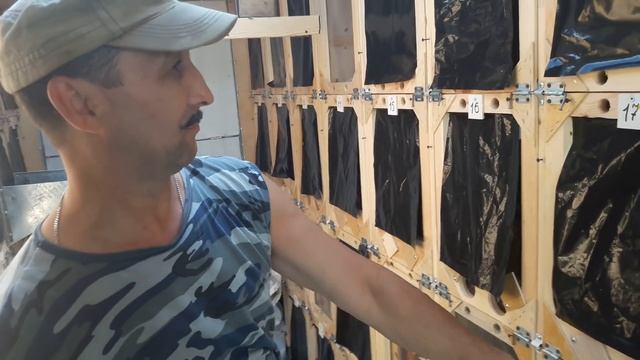 павильон Равиля заселен смотреть онлайн