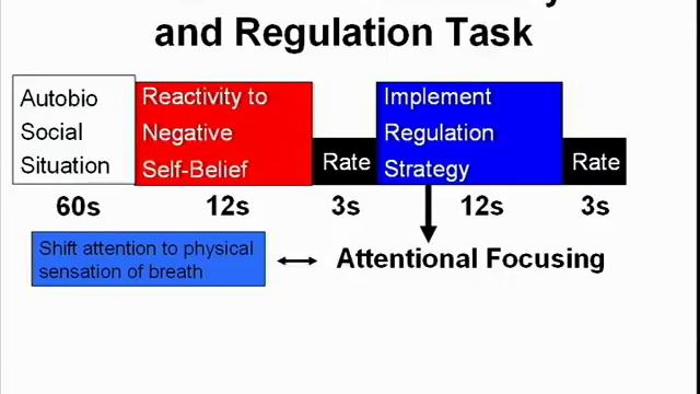 Cognitive Neuroscience of Mindfulness Meditation смотреть онлайн