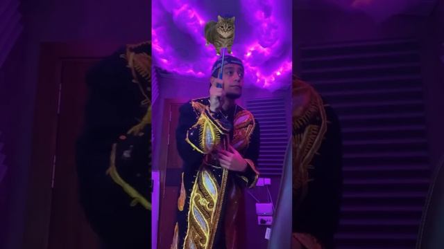 UUIA JANONA смотреть онлайн