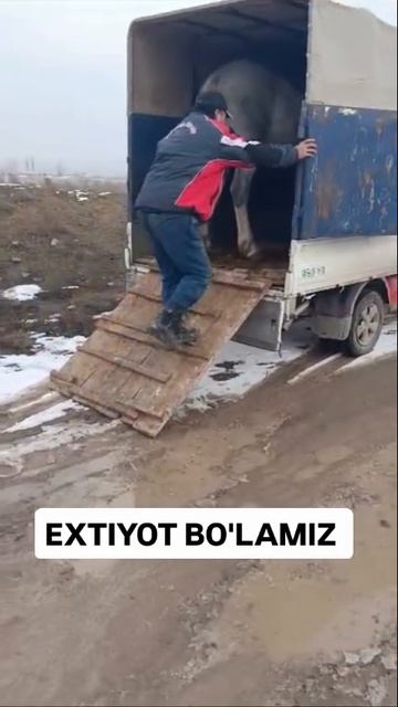 осторожнее смотреть онлайн