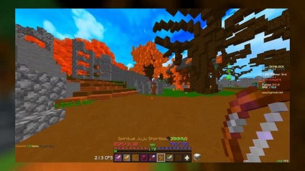 THE ULTIMATE TANK GUIDE 2024 (Hypixel Skyblock)