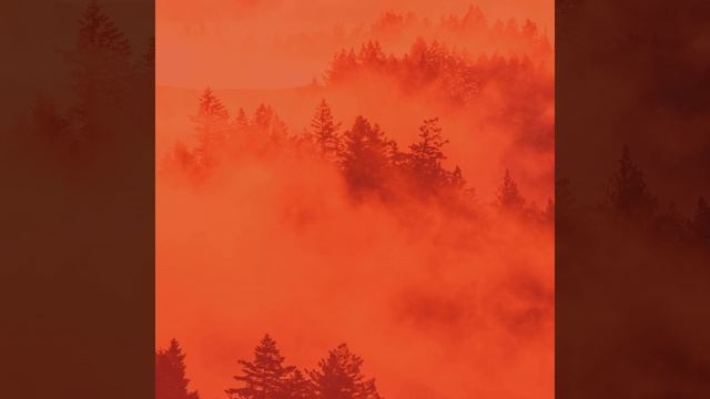 Впечатление (Бары) смотреть онлайн