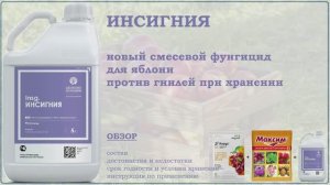 Инсигния - новое средство от гнилей яблок при хранении. Хорус + Максим. Обзор смесевого фунгицида