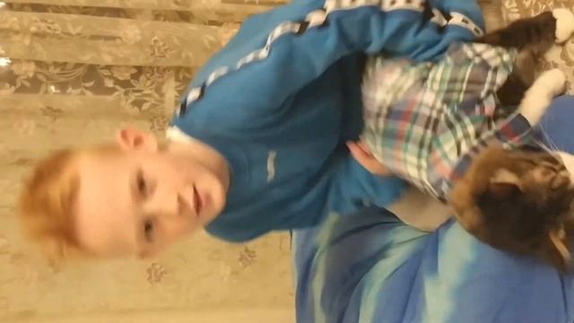 Одеть кота смотреть онлайн