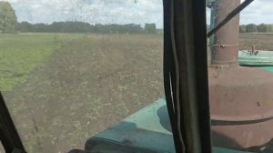 Уборка, посев, смена руководства! №30