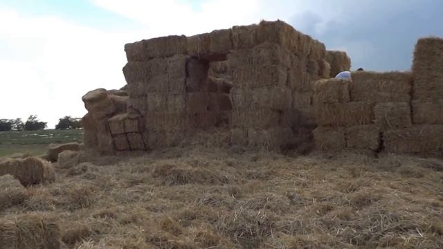 торговля арбузами - творческий подход смотреть онлайн