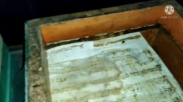 Пчелы в декабре. Зимовка пчел 21 -22г. Месяц спустя! смотреть онлайн