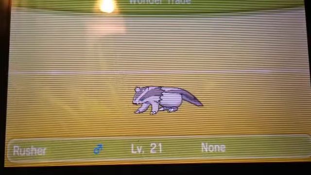 Pokemon ORAS Wonder Trade Wednesday! WTW #6 -Shiny Rampardos!?- смотреть онлайн