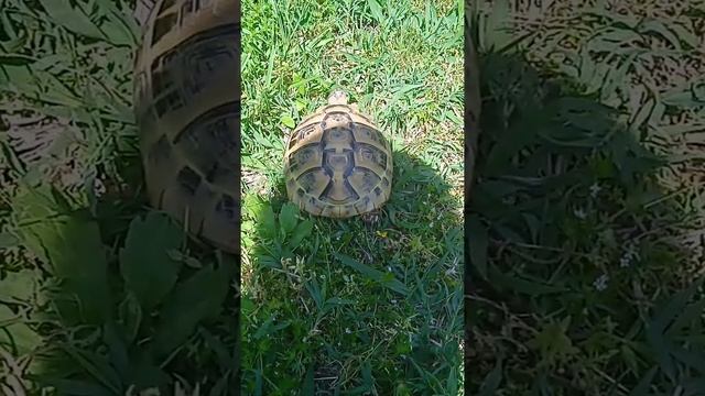 15 мая 2022 г. смотреть онлайн