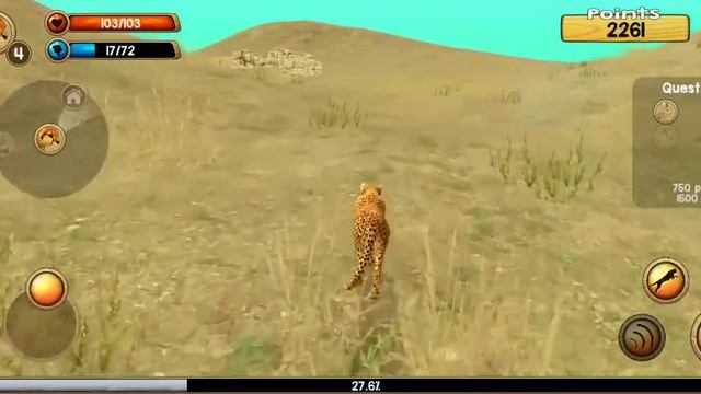 Гепард. Расказую про гепарда