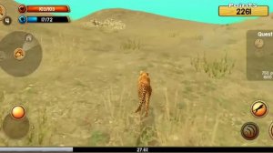 Гепард. Расказую про гепарда