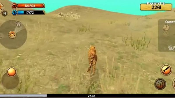 Гепард. Расказую про гепарда