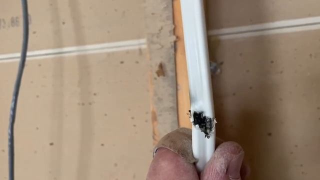 Flat Screen TV FIRE HAZARD смотреть онлайн