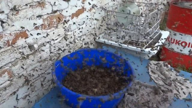 чашка с обрезками смотреть онлайн