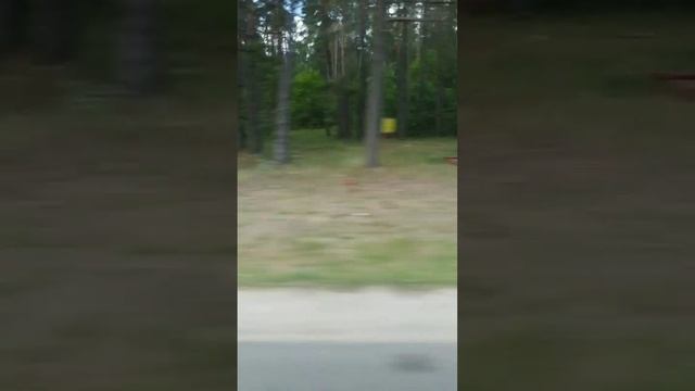 Поездка на автобусе в музей. г. Калуга смотреть онлайн