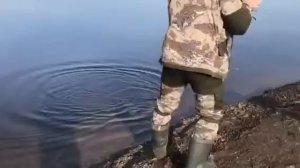 Трофейный судак на тиогу👍🐠🐟