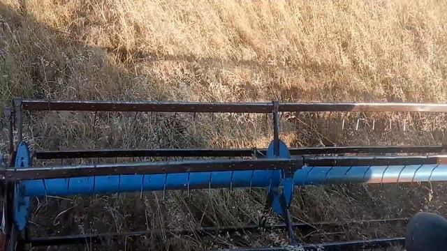 Впервые молотим лён! И как там насос-дозатор? №34 смотреть онлайн