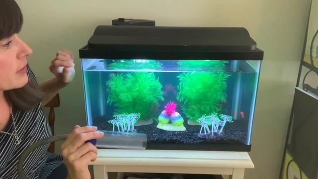 Beginner's Guide To Caring/Cleaning A GloFish Tank | Tutorial смотреть онлайн