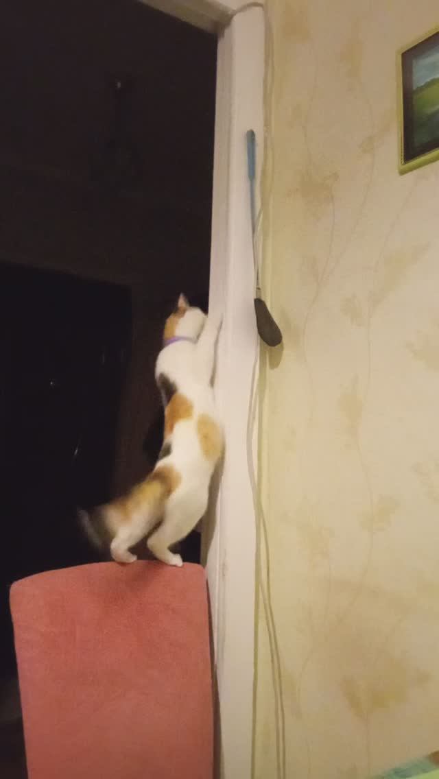 Любопытство не порок...