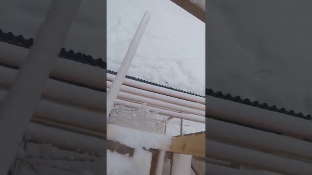 хоит Шавр 19 12 21 сол смотреть онлайн