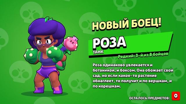 Null’s Brawl смотреть онлайн