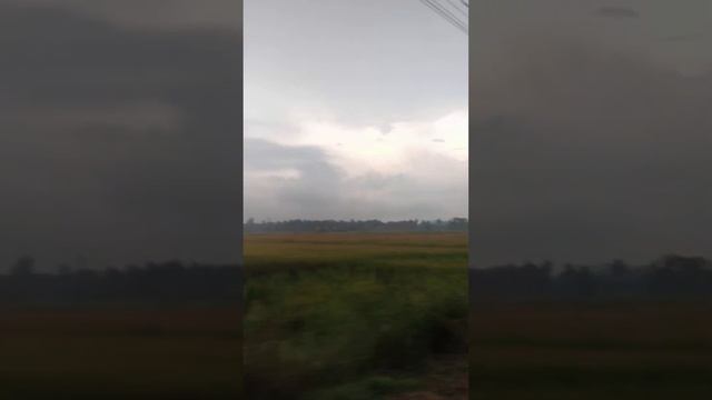 GOA rainy weather travel by scenic roads #goa #travelling #travelvlog #goa_vlog смотреть онлайн
