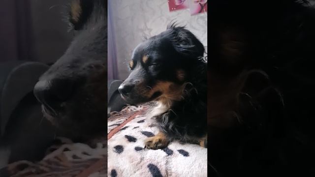 5 июня 2022 г. смотреть онлайн