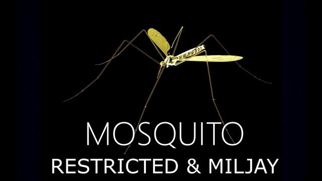 Restricted & Miljay - Mosquito (Bass Boosted)