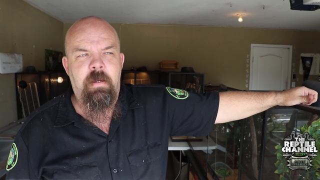 Roaming Reptiles With Brandon Fowler! (Reptile Room Tour, 2018)