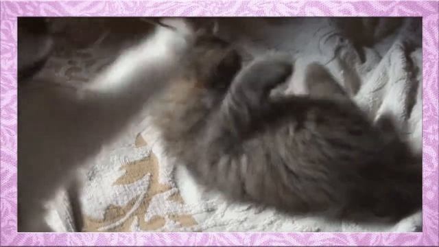 Заболотная Люба Ребятам о зверятах смотреть онлайн