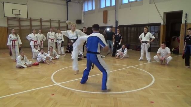 ITF FIGHT EVOLUTION SEMINAR by Katya and Oleg Solovey смотреть онлайн