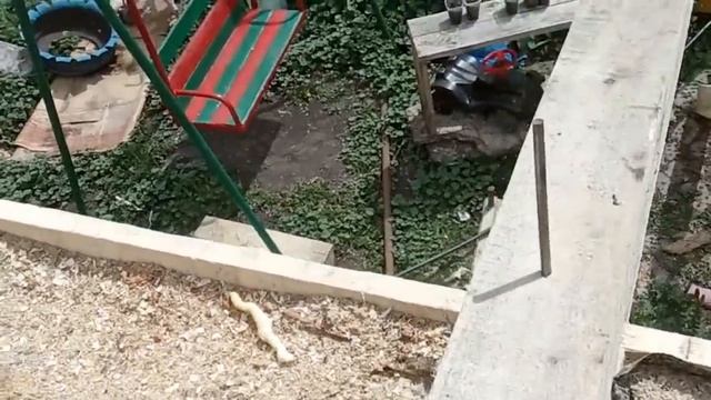 №33 Кровля и потолок, бесплатный утеплитель! смотреть онлайн