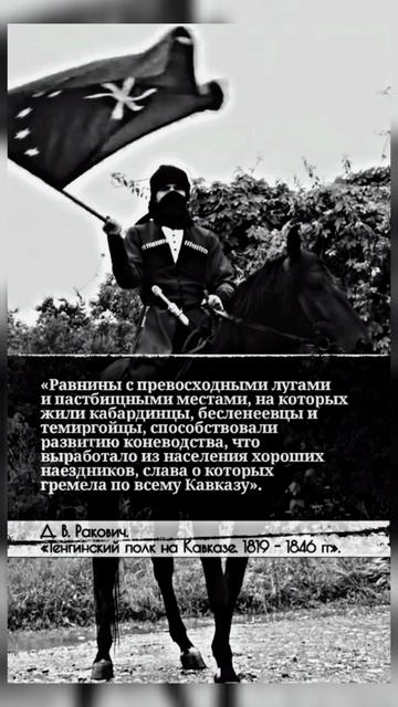 Кабардинская порода лошадей | Черкесия смотреть онлайн