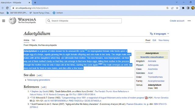 Adactylidium; the most BADASS animal EVER!!! смотреть онлайн
