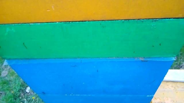 Куда идут матки 22 года из нуклеусов смотреть онлайн