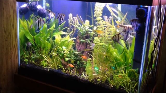 123 / Tank Update / 200 + Subscribers смотреть онлайн