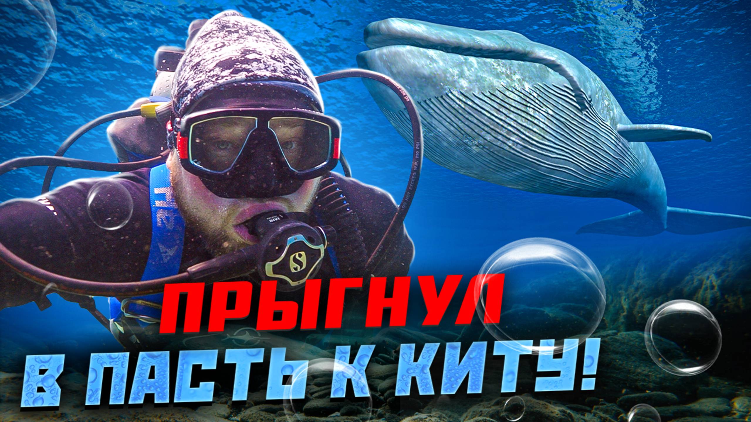 Киты и подводный мир Восточного Тимора! смотреть онлайн