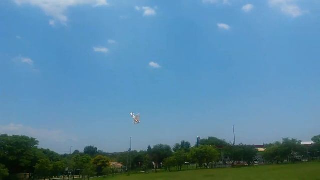 Techone Mini Eagle rc parkfly смотреть онлайн