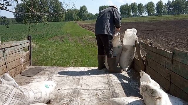 №24 Сеем: пыль, жара, вопрос? Озимые 2020 смотреть онлайн