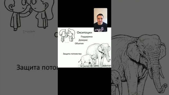 Что такое ГОРМОНЫ СЧАСТЬЯ и как они влияют на наше настроение.