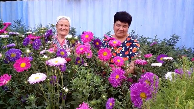 20170902 185117 смотреть онлайн