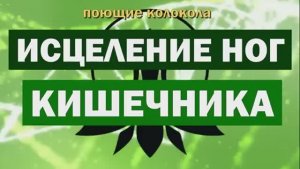 ИСЦЕЛЕНИЕ НОГ, ПОЯСНИЦЫ, ЖКТ*МУЗЫКА ДЛЯ ЗДОРОВЬЯ С ПОЮЩИМИ КОЛОКОЛАМИ