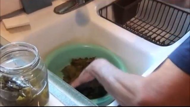 Shake Balekjian makes Yalanci Sarma - Vegetarian grape leaves смотреть онлайн