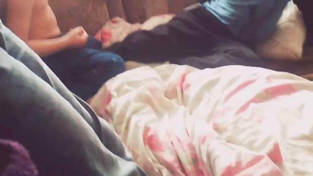 Копия видео "Братья сосутся" смотреть онлайн